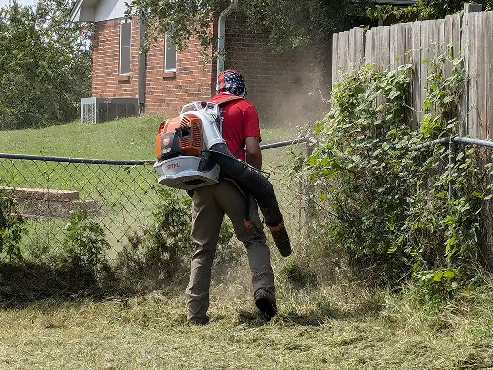 leaf-debris-removal