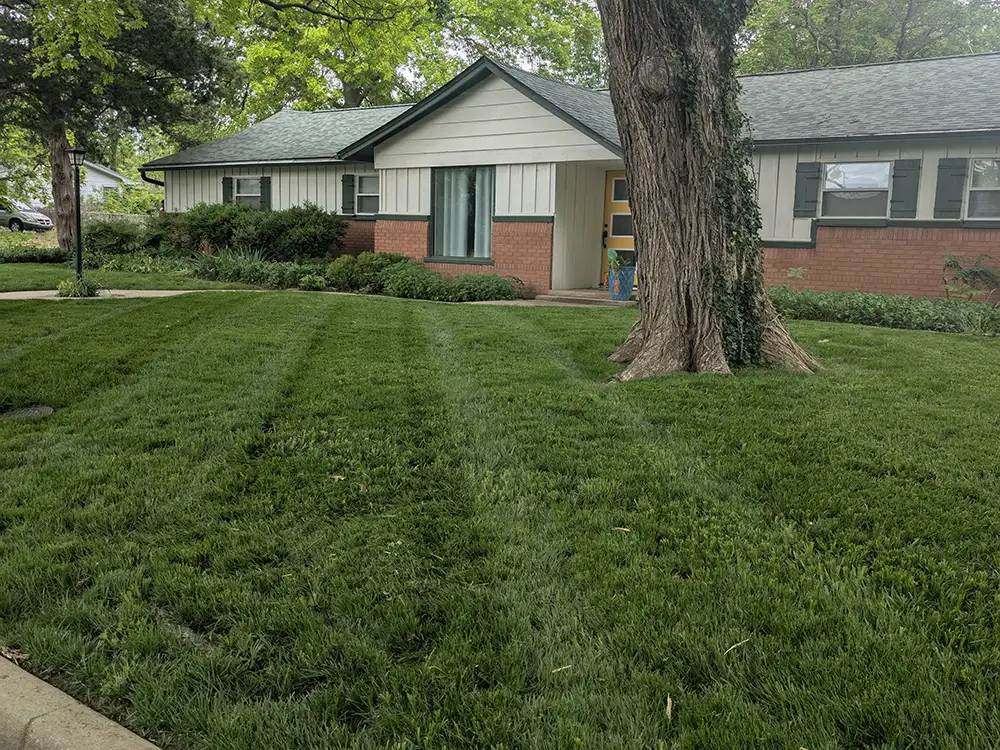a house lawn with stripes in the grass