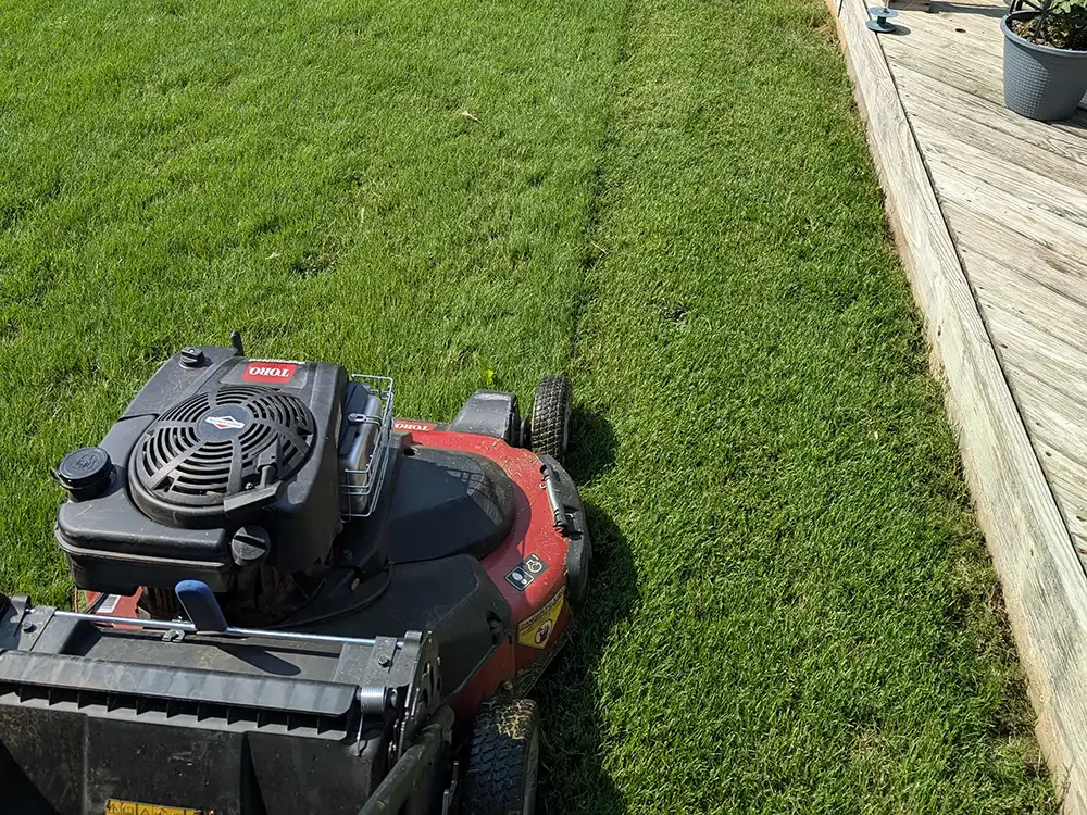 lawn mower mowing a lawn