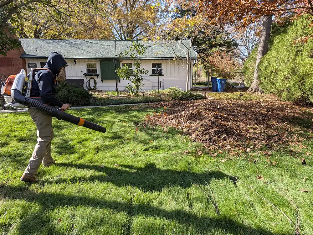 leaf-debris-removal man using a blower to remove leaf debris
